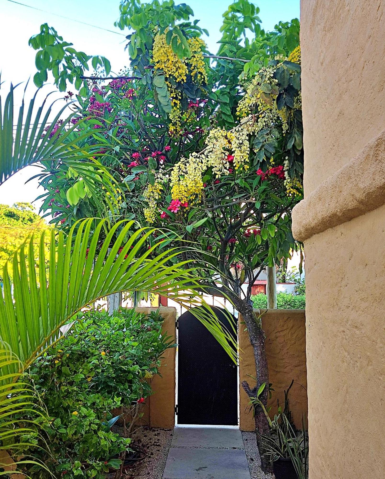Studio Norte, Casa Brisamar Puerto Morelos Exteriör bild